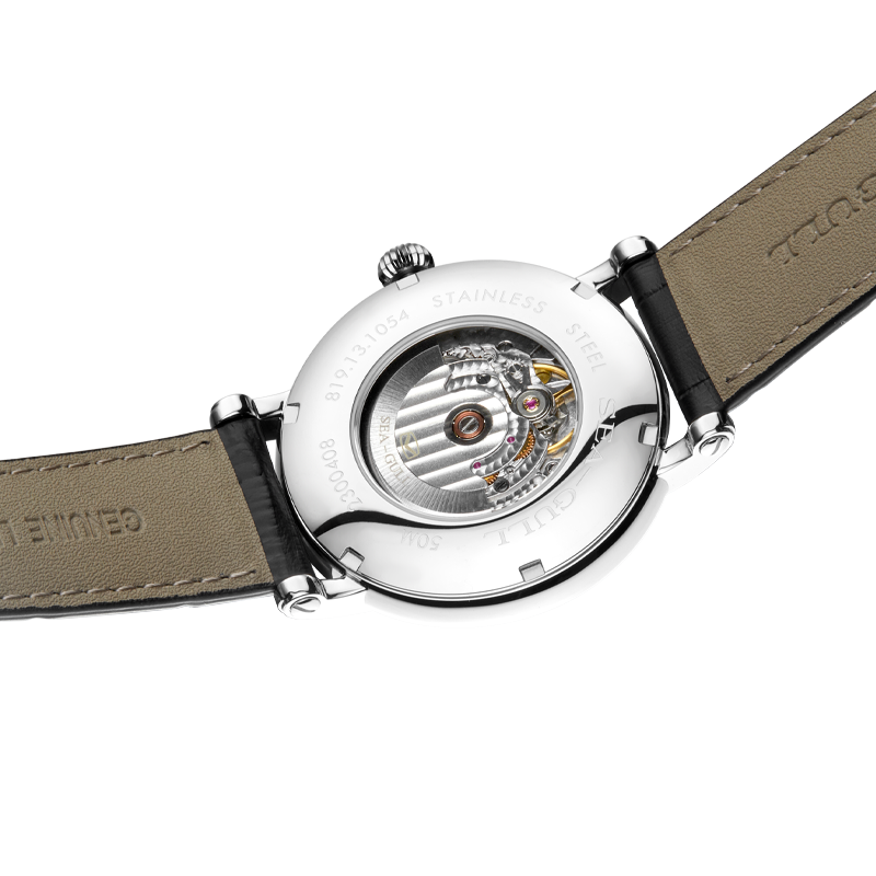 Seagull Herren Mechanische Uhr – Omega Watch Constellation Bewertung und Preis