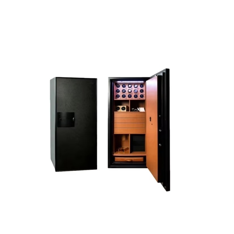 Feuerfeste und Diebstahlsicher – Luxury Watch Storage Bewertung und Preis
