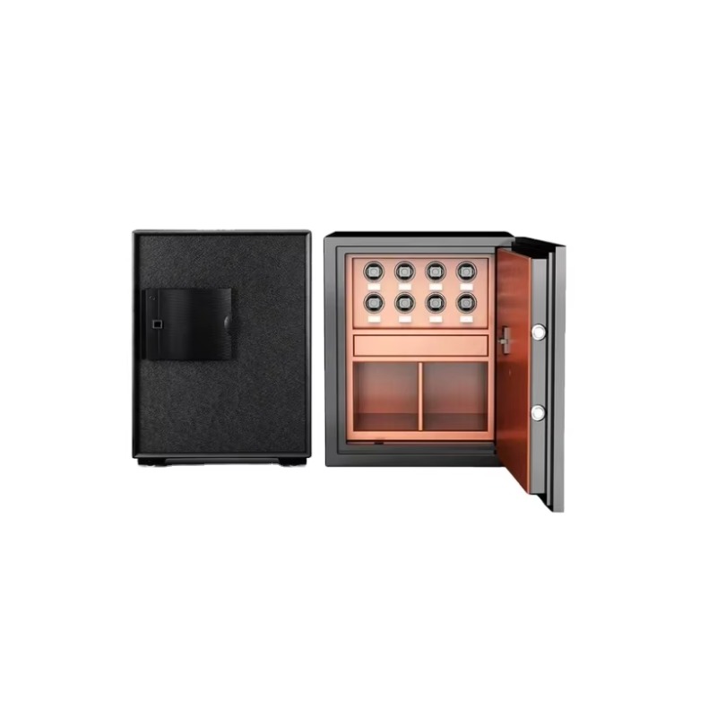 Feuerfeste und Diebstahlsicher – Luxury Watch Storage Bewertung und Preis