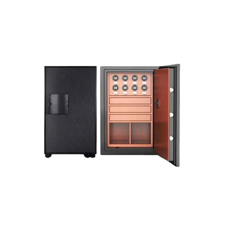 Feuerfeste und Diebstahlsicher – Luxury Watch Storage Bewertung und Preis