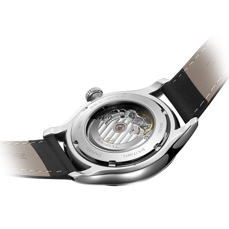 Seagull Herren Mechanische Uhr – Omega Watch Constellation Bewertung und Preis