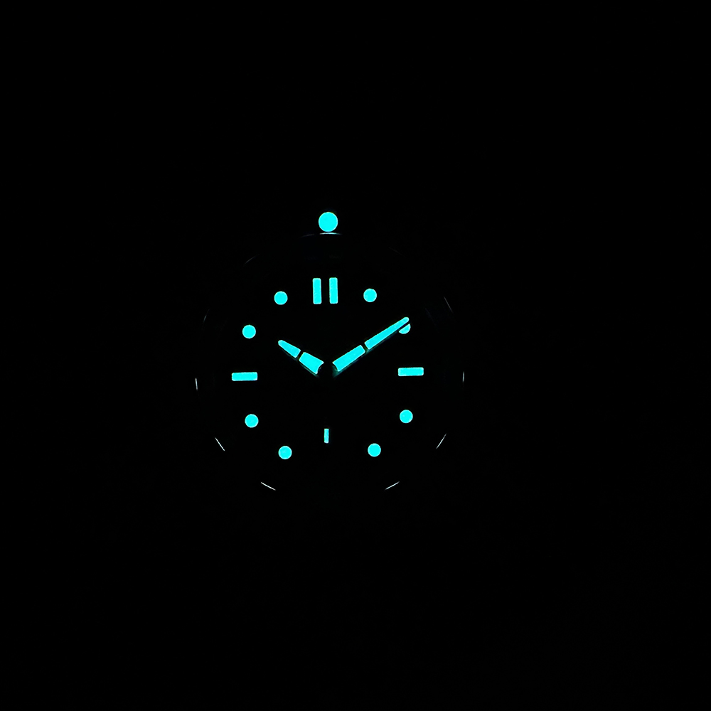 STEELDIVE Offiziell Neu SD1960 – Diver Watch 300M Bewertung und Preis